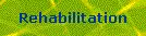 Rehabilitation